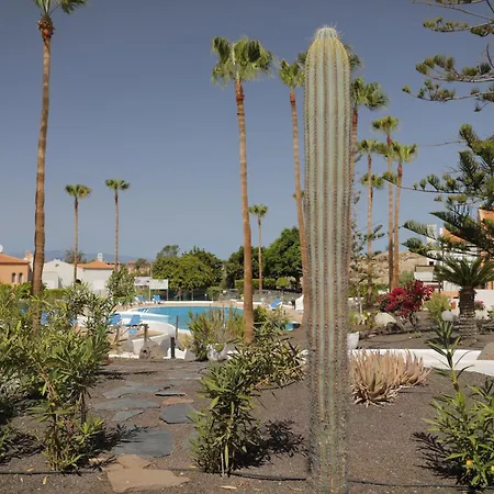 Almacanarias.holidays Alma 2 Lägenhet Costa Adeje (Tenerife)